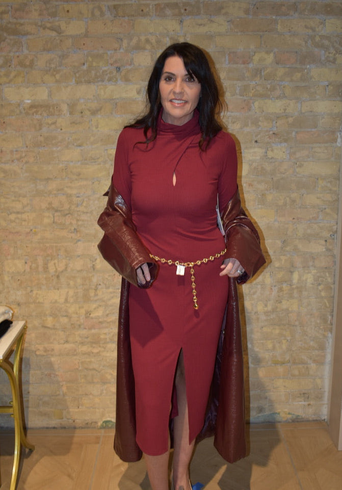 Tasha Turtleneck Midi Dress